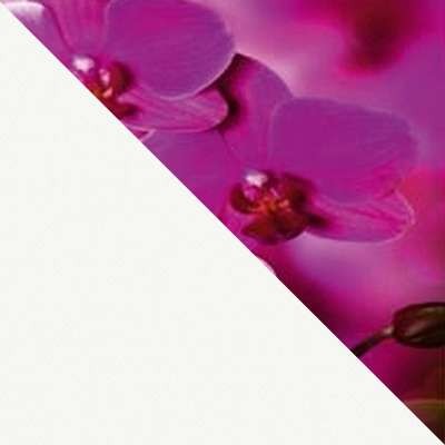 Кухонный стол Ривьера ФП