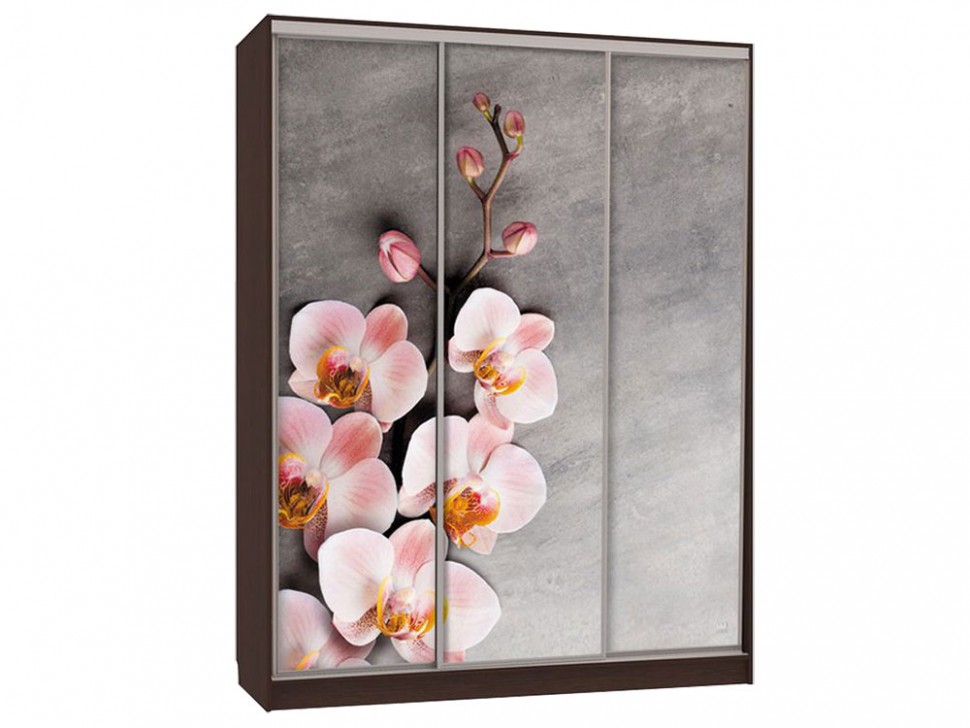 Шкаф-купе Бассо 7 Цветы 2