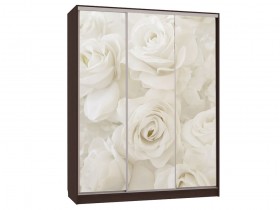 Шкаф-купе Бассо 7-600 розы