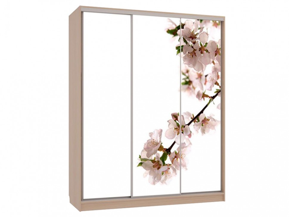 Шкаф-купе Бассо 7 Яблоня