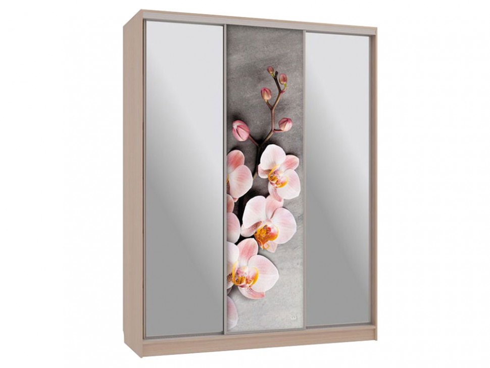 Шкаф-купе Бассо 9 Цветы