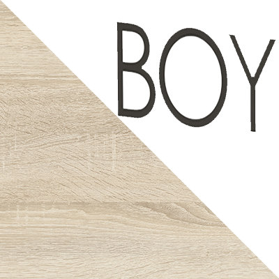 Шкаф детский Сенди