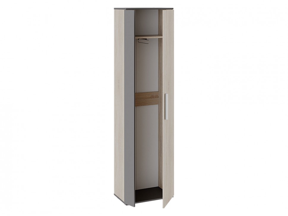 Распашной шкаф Нуар