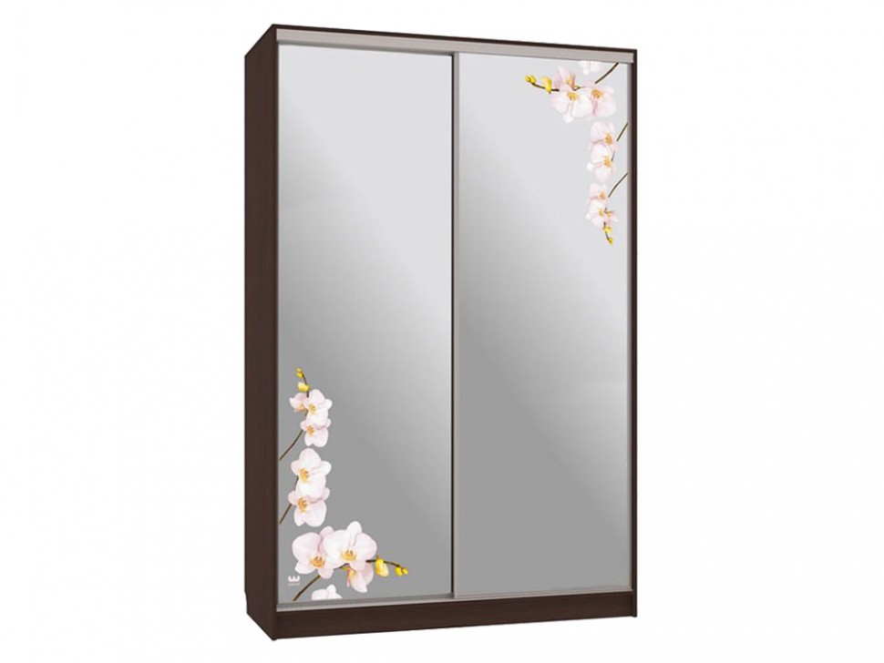 Шкаф-купе Колорадо 4 Орхидеи