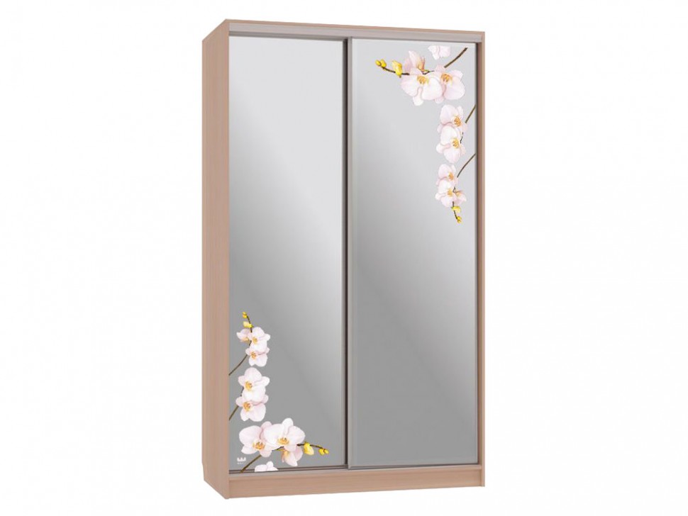 Шкаф-купе Колорадо 4 Орхидеи