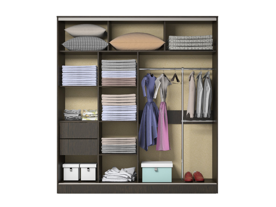 Шкаф-купе Орфей 5