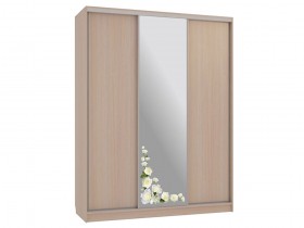 Шкаф-купе Бассо 1 Розы