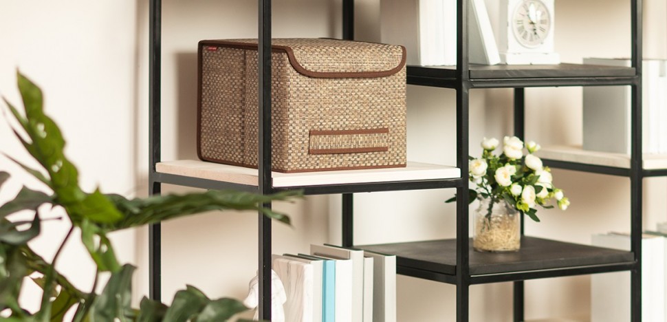 Коробка для хранения с крышкой Тимон