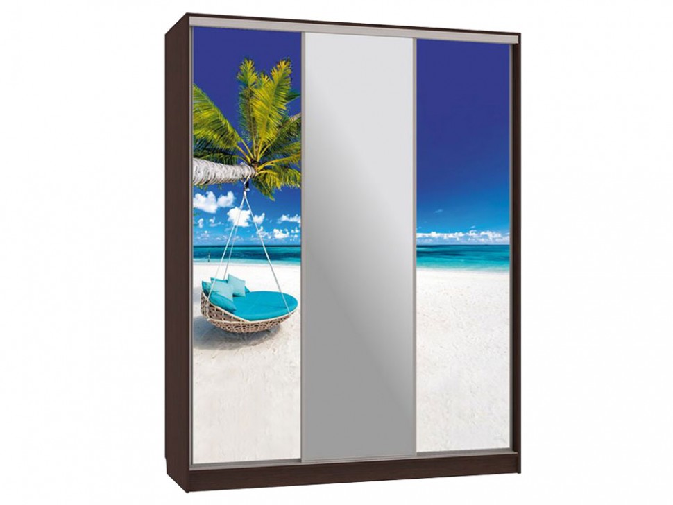 Шкаф-купе Бассо 10-600 77