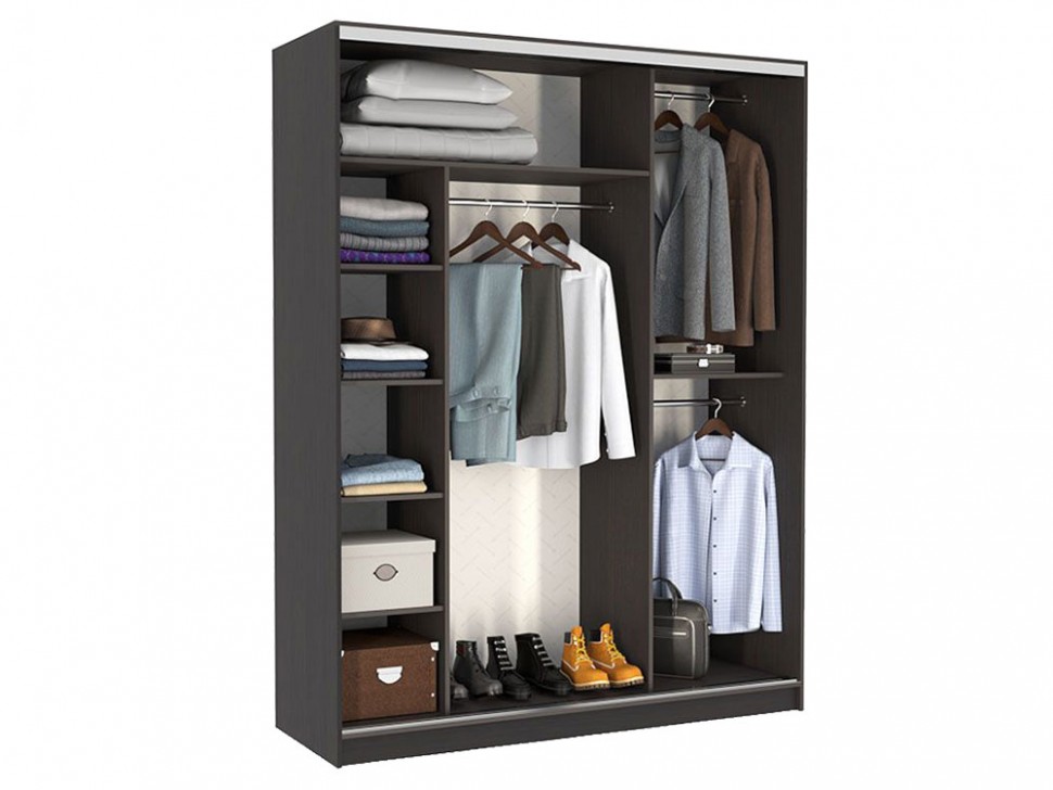 Шкаф-купе Бассо 10 Цветы