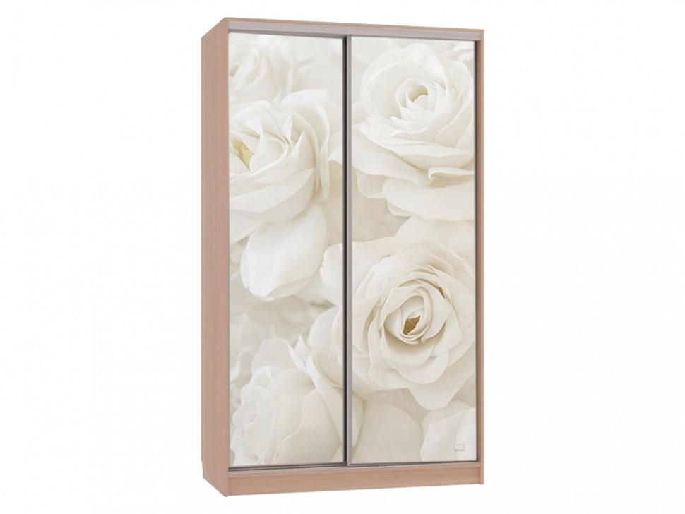 Шкаф-купе Колорадо 7 Розы