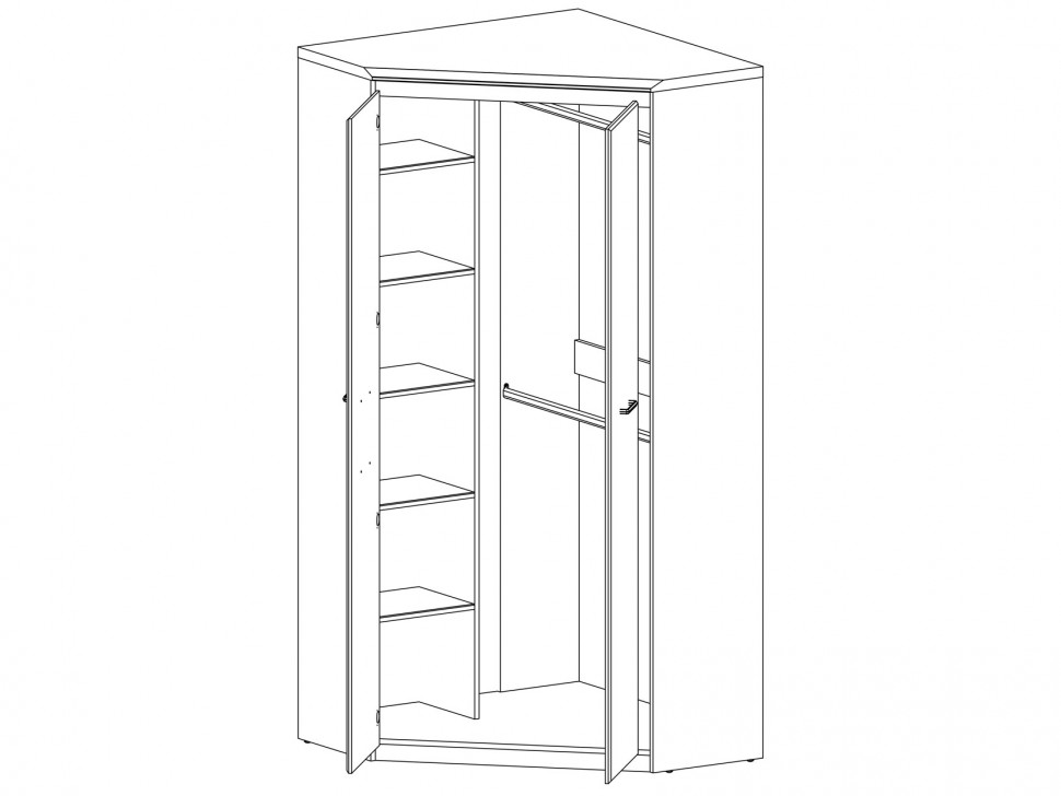 Распашной угловой шкаф Бьерк