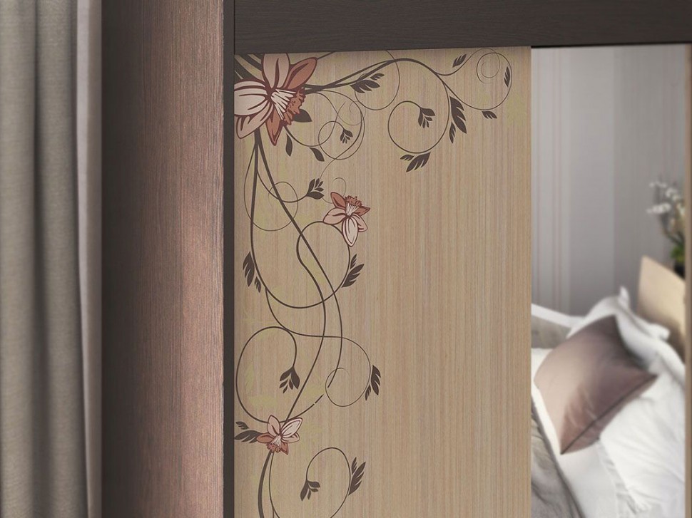 Шкаф-купе Виктория-2