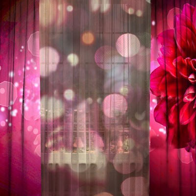 Комплект штор с тюлем Вишневый мусс